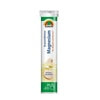 Вітаміни SUNLIFE (Санлайф) Magnesium Магнезіум Brausetabletten таблетки шипучі туба 20 шт